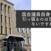 国会議員自身で足を引っ張るのは世話がないですね