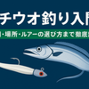 タチウオ釣り入門｜時期・場所・ルアーの選び方まで徹底解説