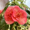 コロナ対策できてない人とか