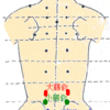 【お灸】腸のツボ一覧