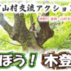 10月19日（土）「とおかんや」に合わせて、10月20日（日）に「森で遊ぼう！木登り体験」を実施します。