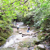 明日が仕事でも大丈夫な山、大楠山