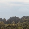 今朝の景色