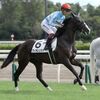 【一口馬主】某緑チャンネルでパドック推奨1番手に挙げられて調子に乗って軸馬券も購入した結果手痛いWパンチを食らったヴィオレンツァのレース結果。