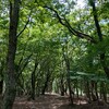 るり渓の山、そしてバージョンアップしたマック