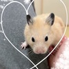 暑くなると思い出すのが、、