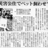 緊急！胆振東部地震・災害公営住宅のペット可を求める署名のお願い