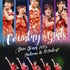 「一人で行ったカントリー・ガールズ ライブツアー2015秋冬 ＠札幌」