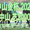 【中山金杯 2021】過去10年データと予想