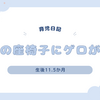 育児日記　生後11.5か月　新品の座椅子にゲロが！？