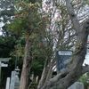 乙未春彼岸中日