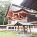 大山祇神社の書置き御朱印の魅力と日本総鎮守の見どころ