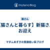【猫さんと暮らす】新猫さんお迎え