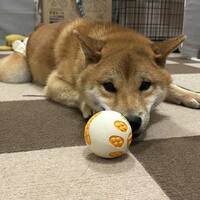 この日が来ると　思い出す～～♬　おかげさまで　絶対忘れないわ☆彡　これがバツイチになる決め手！？