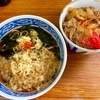 田上（座間市）たぬきそば＋ミニ牛丼