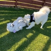 オフ会参加