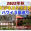 コーヒー農園巡り＆コナブリューイングカンパニーで乾杯【2022年秋ハワイ3島巡り Vol.8 Day7】