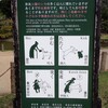 奈良公園には、鹿と戯れるための注意事項が掲示されています。