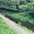 8月4日(月)秩父フライフィールドの河川情報