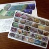 11月定例会