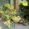 7月の花壇。。