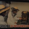 鉄腕DASHから学ぶ養蜂