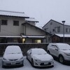 初雪