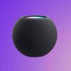 HomePod mini 2、N1非搭載の可能性　Appleの割り切りが見えた
