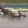 ９月６日（日）　勝負・注目レース結果　ー馬連4,050円的中！