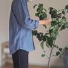 ミニマリストなのに観葉植物がある生活。いらない？確かに…