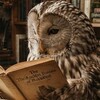 エゾフクロウの独り言『読書のお供』