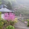 四国八十八所の霊験・・・その５２