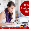 Avail Our Excellent Assignment Help Service