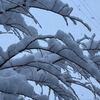 新年最初の満月は雲の向こう。
