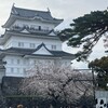 お花見