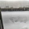 雪に振り回されてます