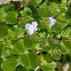 暖かい３月上旬
