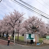 新年度、新天地、新パンフ　キタ〜〜！