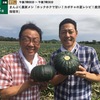 鹿児島県指宿市の「カボチャ」4　「いかがでしたか？」「おいしい」「美味しいですね」「カボチャがこんなに美味しいとは思わなかった」「揚げ出しのカボチャとか，めんつゆでできますから，ぜひやって欲しいと思います」「あと，やっぱり，カボチャ農家の皆さん，みんな，おもろいですね」「楽しそうですね」　“おつかれサマーのおつまみパンプキン！料理①　煮カボチャと牛肉の炒め物　料理②カボチャの浅漬け”　料理③　揚げだしカボチャ　　カボチャ8（まんぷく農家メシ！4）