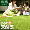 秋の雑草対策はいつやる?初心者でもわかる来年に向けた除草計画