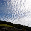 秋空の下