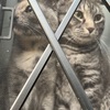 一週間乗り切りました