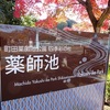 薬師池公園の秋彩りPhoto