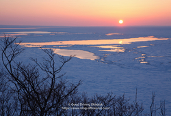 夕方の流氷