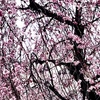 3/19 14〜21時❗️ボトルショップ充実。