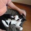 アフリカのジンバブエという国では今、ものすごいインフレらしい。何でも年間10万パーセントというから・・・えーっと、吉野家の牛丼が1月1日に300円だったとすると、12月31日には30万円になっている計算。