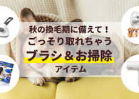 もう毛だらけの部屋に悩まない。換毛期に備えて準備しておきたい、ペットの「お手入れグッズ」4選