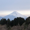 今朝の景色