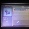 ポケモンエメラルド 3世代色乱数 固定シンボル 野生 釣り Days Of The Future ポケモンエメラルド 3世代色乱数 固定シンボル 野生 釣り Days Of The Future