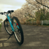 自転車に乗れる幸せ　【満開の桜の中を走る】